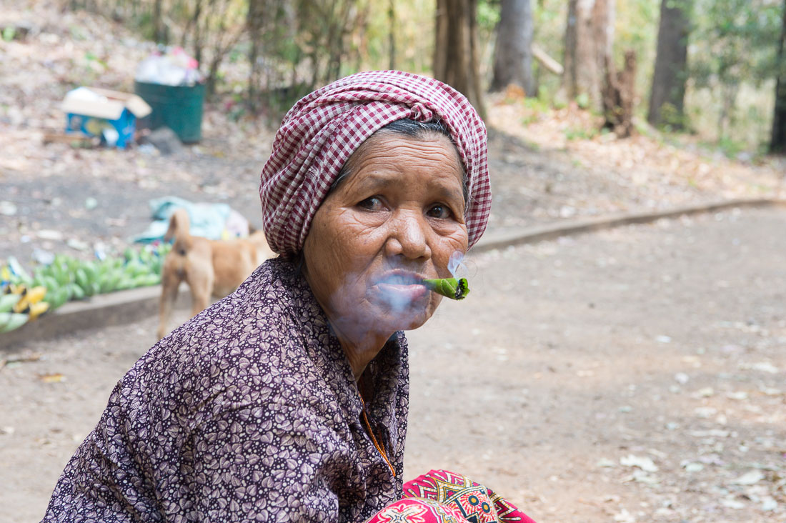 An old woman, from the ethic group of the Bunong people, is rolling and smoking a 'cigarette' made out of tobacco rolled inside a green leaf. Sen Monorom, Mondukiri Province, King of Cambodia, Indochina, South East Asia