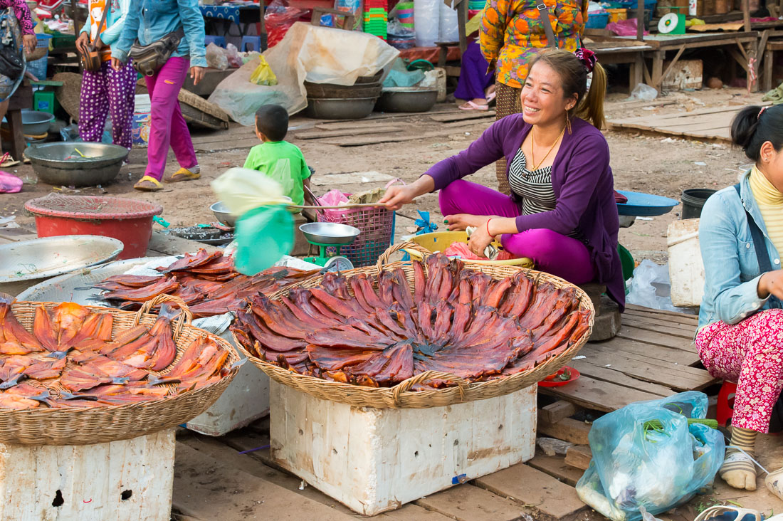 Sra Em market in the Preah Vihea Province, a women is selling sun-dried fish keeping zillion of flies away using a stick and little plastic bags, Kingdom of Cambodia, Indochina, South East Asia