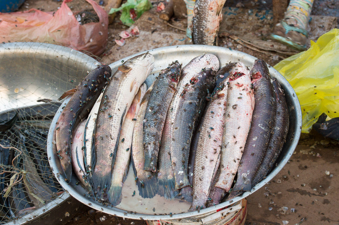 Fishes & flies at Sra Em market in Preah Vihea province. Kingdom of Cambodia, Indochina, South East Asia