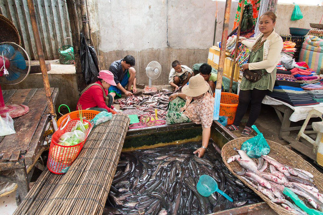 Family members cleaning fishes at the market in Siem Reap; Kingdom of Cambodia, Indochina, South East Asia.