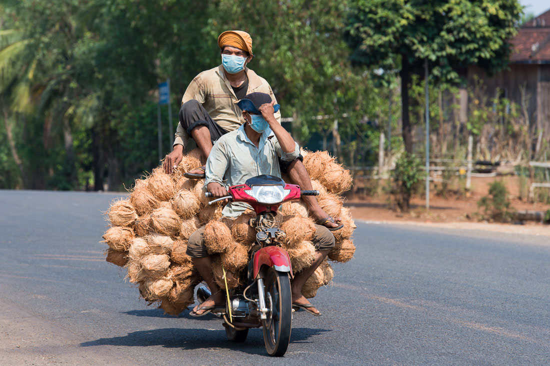 A scooter loaded with coconuts and human being! Kingdom of Cambodia, Indochina, South East Asia