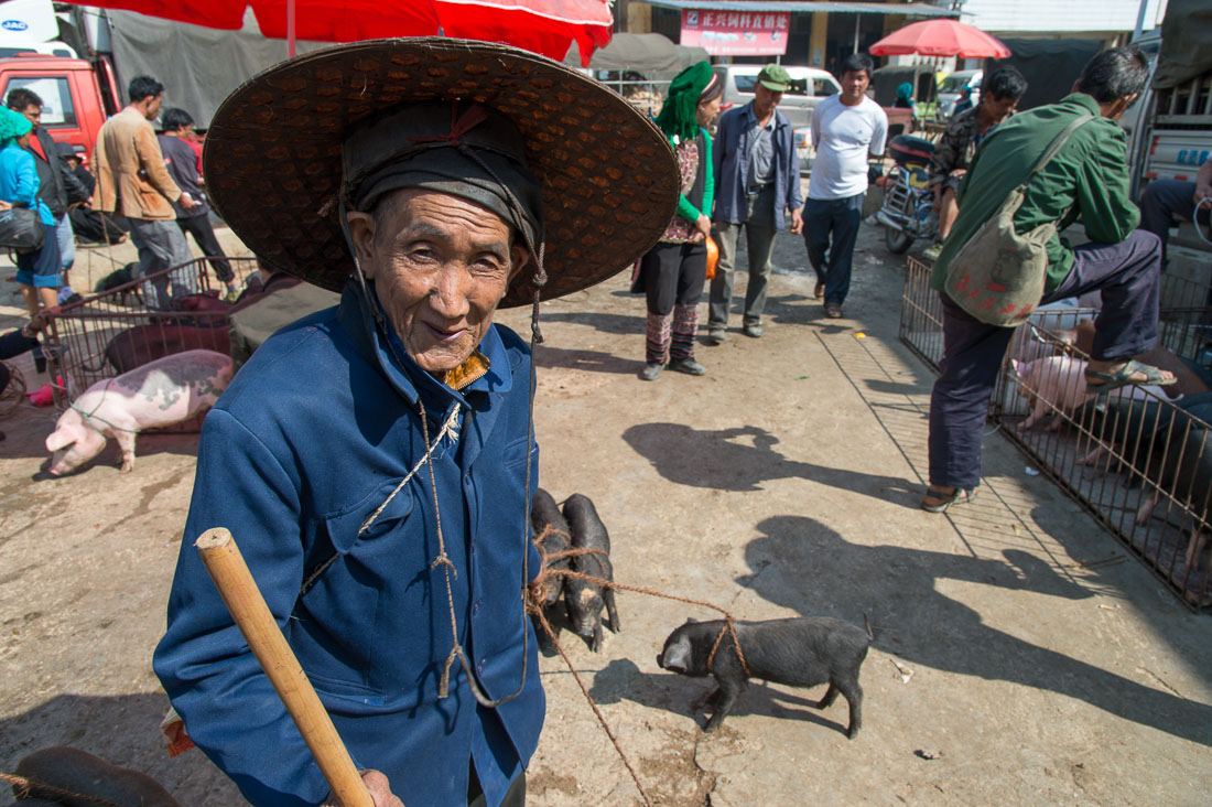 An old man selling alive piglets at the Sha La Tuo market in Yuan Yang county, Yunnan Province, China, Asia. Nikon D4, 24-120mm, f/4.0, VR