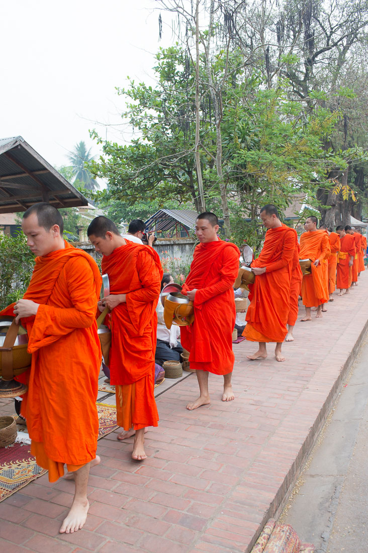 Early morning procession buddhist monks collecting food from worshipper in Luang Prabang. Lao PDR, Laos, Indochina, South East Asia.