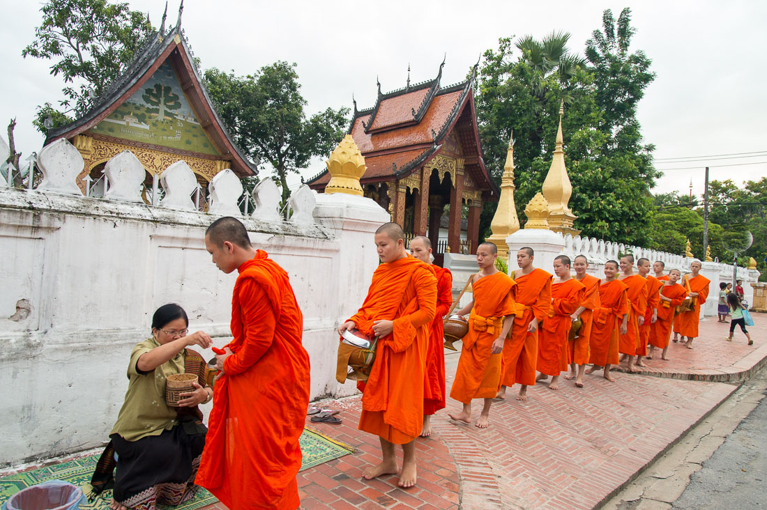 Buddhist monks during the early morning ritual, collecting food donation, tak bat, from almsgivers, Luang Praban, Lao PDR, Indochina, South East Asia.