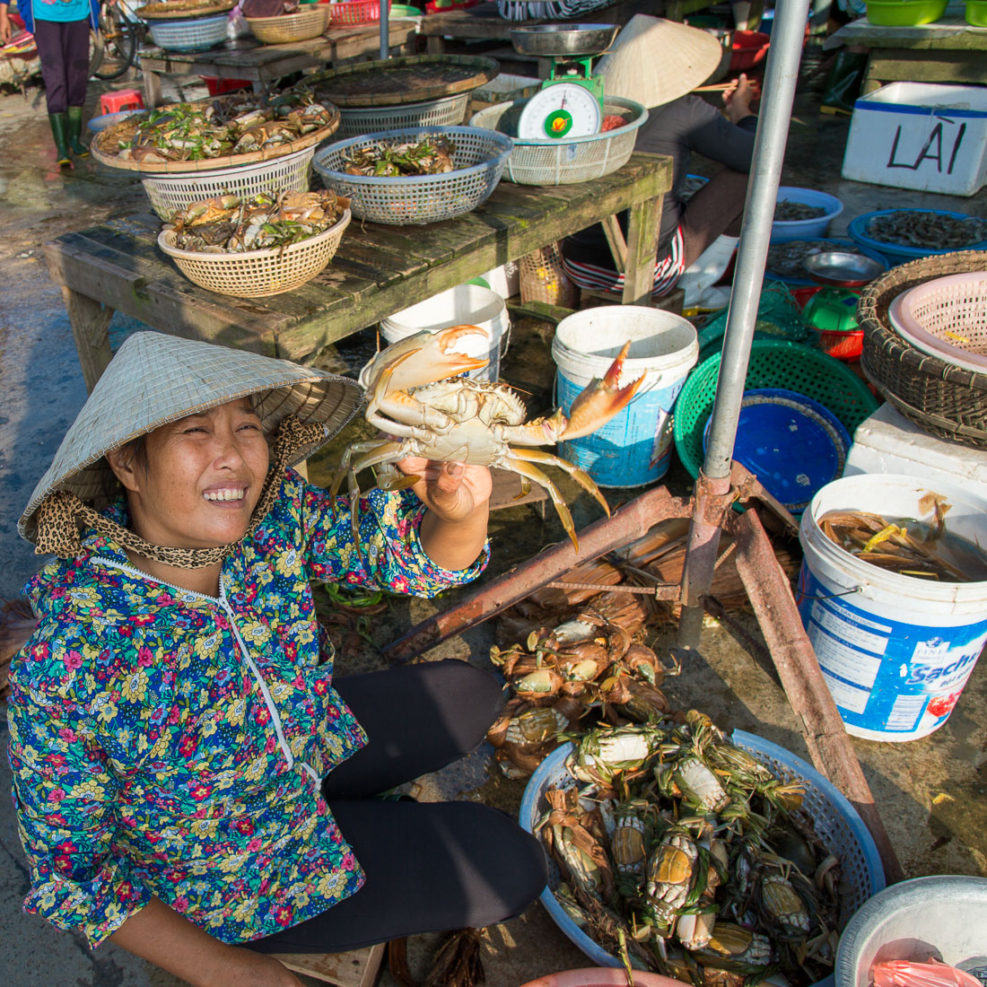 Woman showing a fresh crab at the busy market in Hoi An, Quang Nam Province, Viet Nam, Indochina, South East Asia