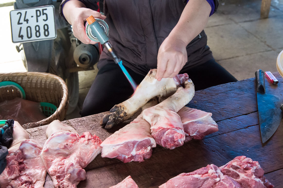 Burning hair from pig legs with a propane torch, Bac Ha market, Lao Cai province. Viet Nam, Indochina, South East Asia.