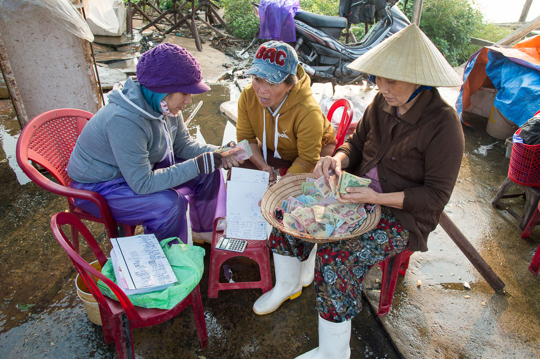 Counting millions of Vietnam Dong at the wholesale fish market in Thanh Ha, Quang Nam Province, Viet Nam, Indochina, South East Asia.