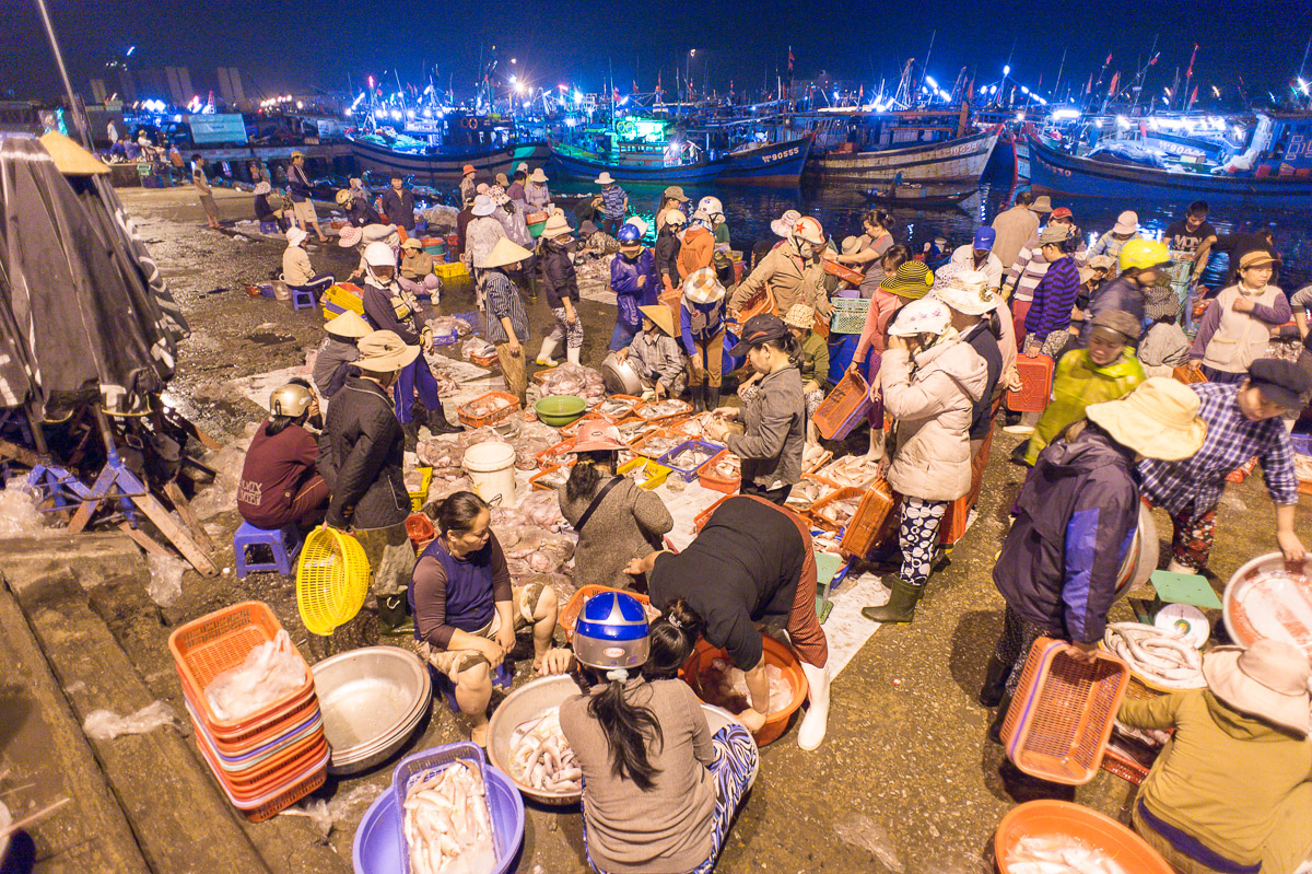 The rich wholesale fish market in Da Nang, Viet Nam, Indochina, South East Asia. Nikon D4, 20mm f2.8