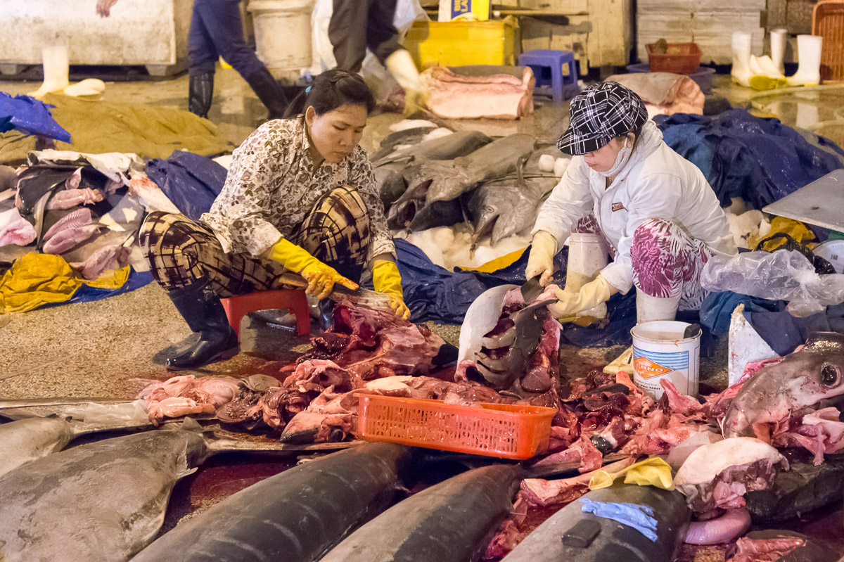 Two women cleaning very large fishes at the rich wholesale fish market in Da Nang, Viet Nam, Indochina, South East Asia