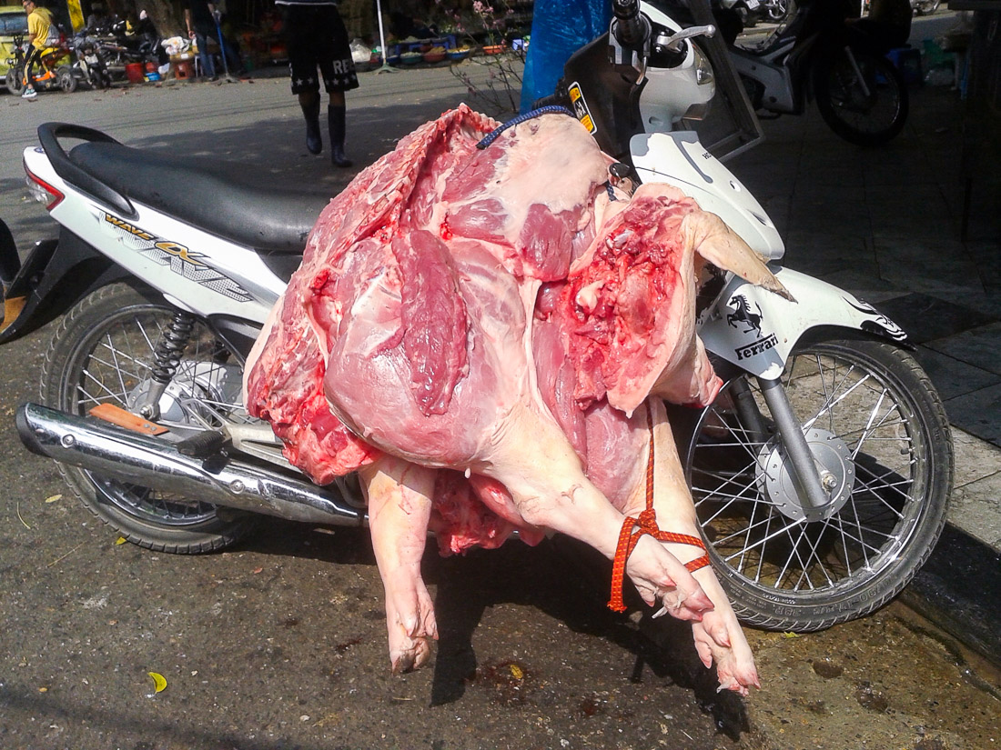 A Honda Wave motorcycle fully loaded with two large dead pigs to be delivered to a local butcher in Hanoi. Viet Nam, Indochina, South East Asia. Samsung smartphone.