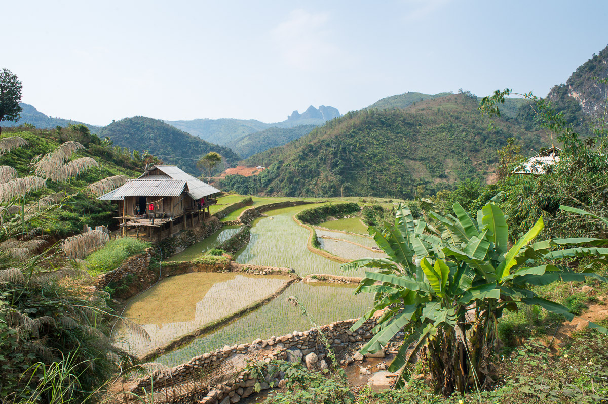 Black Tai people ethnic minority house overlooking rice fields, Lai Chau province. Viet Nam, Indochina, South East Asia